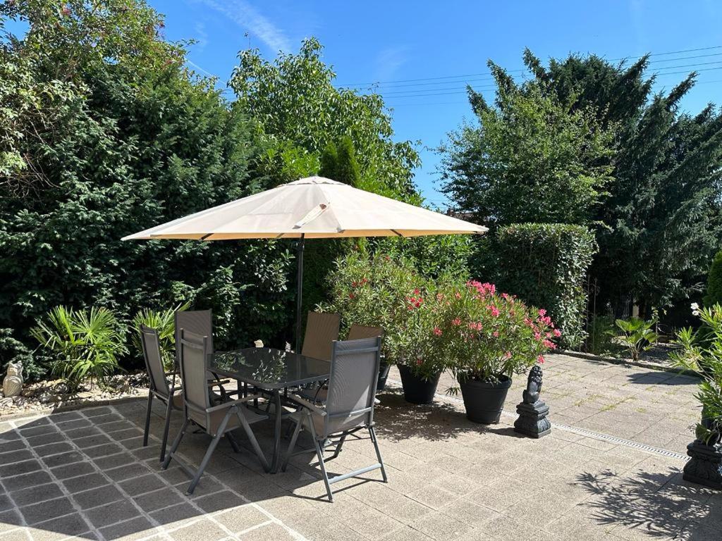 Loewenstein Apartment Albersweiler